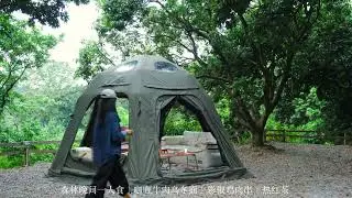 Solo Female Jungle Camping 🌿 | Quiet Nature, Silent Cooking & ASMR