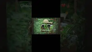 Bomba Stop coop(official audio)FT kendri)
