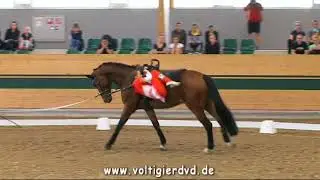 Edda Maria Kreimer  (AUT) - CVI2 Female 18 - CVI Ebreichsdorf 2017