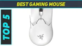 Top 5 Best Gaming Mouse 2023