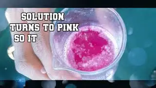 PHINOLPHTHALEIN INDICATOR TESTING WASHING POWDER SURD EXCEL BASIC NATURE