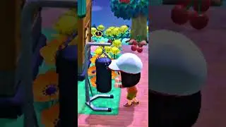 Animal Crossing | Need some exercise 🥊