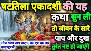 षटतिला एकादशी की यह कथा सुन ली तो जीवन के सारे पाप और दुख स्वयं नष्ट हो जाएंगे!| Ekadashi vrat katha