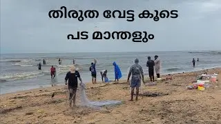 തിരുത വേട്ട കൂടെ പട മാന്തളും | fishing | sea fishing | fishing malayalam | fisherman | fish
