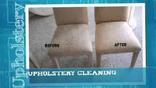 Eagle Carpet Cleaner, eBiz