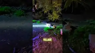 Crocodile Enters Our Village! 🐊 | District Rescue Team Called | Real Animal Rescue
