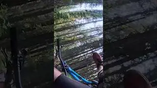 MTB WIPEOUT!!! #bikelife #downhill #mtb