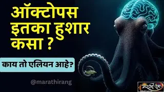 ऑक्टोपसचे मेंदू रहस्य 🤯 | Octopus Intelligence, RNA Editing आणि अकल्पित क्षमता