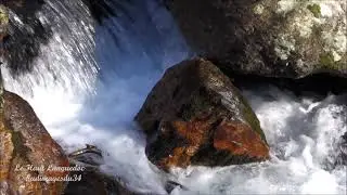 LE PARC NATUREL R&Eacute;GIONAL DU HAUT LANGUEDOC - H&Eacute;RAULT - Source naturelle d'&eacute;nergie pure