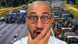 The Netherlands Government Just Collapsed | Major Details Explained