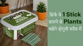 🍀 पौधों की ग्रोथ के लिए  All-Purpose Plant Food Sticks || Keeps Your Plant Healthy ||