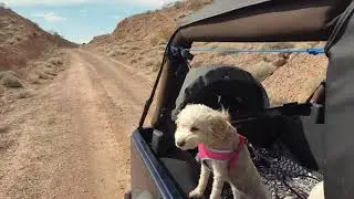 Welcome to the adventure... MOJO ADVENTURES! Hike Bike Camp Jeep Off Road XPLOR The Mojave & Beyond!