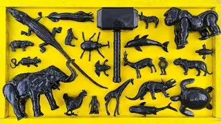 Membersihkan hewan sapi, bebek, angsa, rusa, gajah, simpanse, singa, unta, buaya, kangguru