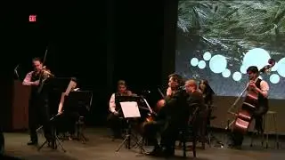 Copy of Vivaldi  Four Season's (Summer) National Chamber Ensemble (3) Sushansky
