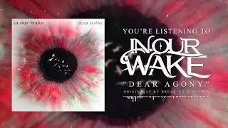 In Our Wake - Dear Agony (Acoustic Cover) Originally by Breaking Benjamin