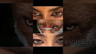 Fox eyes 🦊#aesthetic #beauty #eyes #foxeyes #trending #views #ashh!!