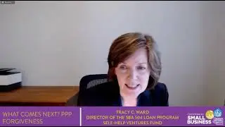 House Small Business Hearing -- PPP Challenges for Borrowers