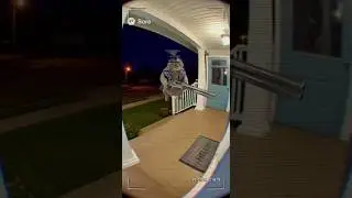 Security Cam: HELICOPTER CAT with Shotgun?! 🚁😹 (Hilarious AI Recoil Fail)