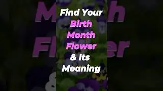 Find Your Birth Month Flower 🌸 & Its Beautiful Meaning | Zodiac Flowers #shorts