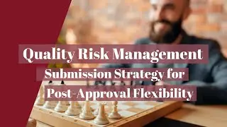 Quality Risk Management: Submission Strategy for Post-Approval Flexibility