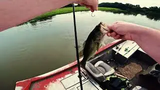 Flint River Fishing - Albany, Ga