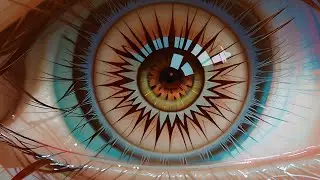 An Interruption in the Algorithm: DiMiTris Dream