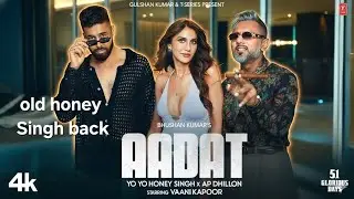 AADAT  VIDEO SONG | 90s YO YO Honey Singh | ap dhillon | VAANI KAPOOR #90s 