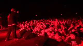 Basement - Whole