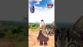 Correct head matching game - New funny Vfx magic video #shorts  #livz_vfx