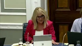 Windsor Framework Democratic Scrutiny Committee - Thursday 06 November 2025