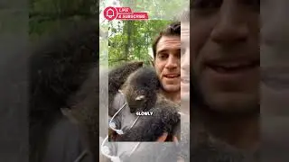 What animal smells like POPCORN?! #biruntong #shortsfeed #viralvideo