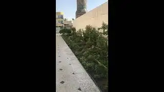 21 حزيران، 2019
