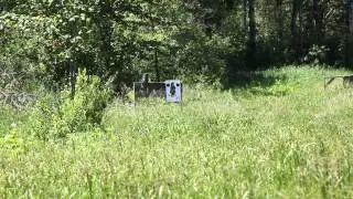 R hop performance at 240 feet - w/400 fps ak47