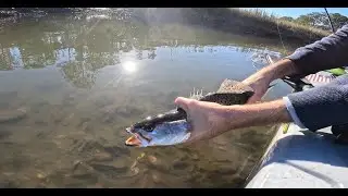 Epic Day Of Spotted SeaTrout Fishing In (Charleston, SC)