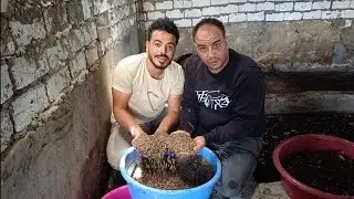 ارخص طعم لصيد السمك اسمع للاخر وروح اشتري الطعم بسرعه