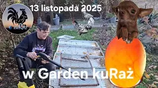 Inkubatory i szalony Tolek. Nowa myjka.