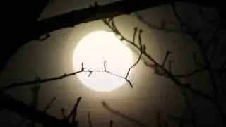 Bossa Nova - Guitarra Cl&aacute;sica - Paco de Lucia