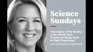 Steffanie Strathdee &mdash; How Viruses are Being Used to Fight Superbugs
