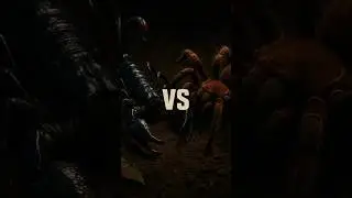 Goliath Tarantula vs Emperor Scorpion &ndash; Who would win? 🕷️🦂