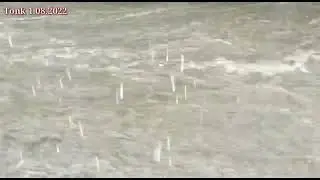 heavy rain in tonk....