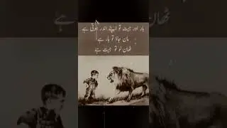 Har orr jeet💔 #viral #shorts #video #juneelia #sadshayri #viralurdu #Deep_lines  #quotesoftheday