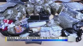 1,600 grams of fentanyl, 16 guns, other narcotics seized in &lsquo;Operation Blue Christmas&rsquo;: Escambia Co.