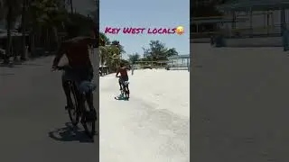 Key West locals😜. #keywest #funny #funnyshorts #beyourself #inspiration #motivation #me #instagram
