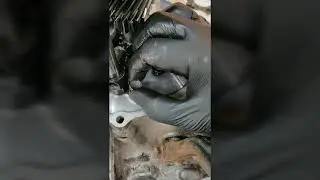 Suzuki ignis Transmission assembly