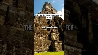 The Maya&rsquo;s Disappearance: Secrets Revealed