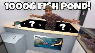 My 1000G indoor POND is FINISHED!! (epic)