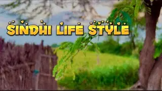 Village Life Gujo City Thatta Sindh Pakistan || 4k Video In Desi Style Sindhi People The Story Time