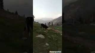 jehaz Banda Kumart valley kpk