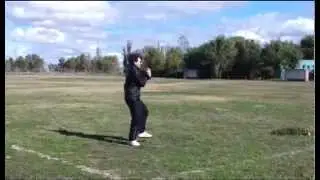 Gangnam Style
