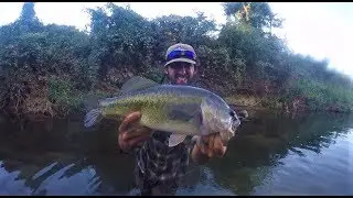 Bass Fishing a TINY Ditch!!!
